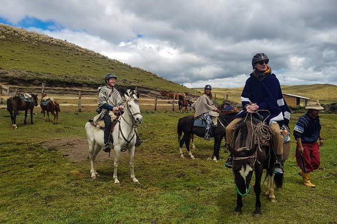 Cotopaxi Horseback Riding Tour - Tour Pricing and Booking Information