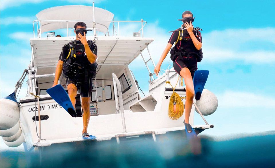 Cozumel: 2 Tanks Certified Scuba Diving - Key Points