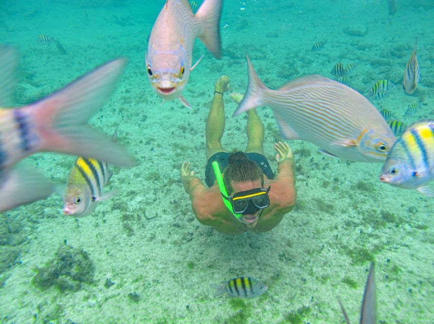 Cozumel: ATV & Snorkeling Guided Tour With Beach Club Lunch - Key Points