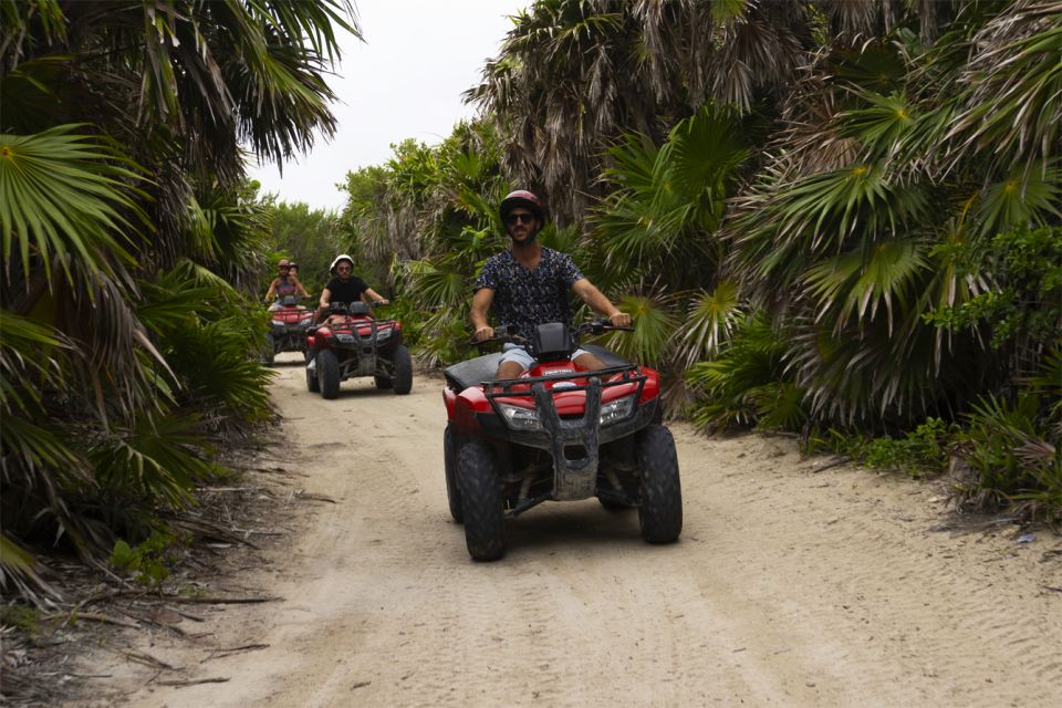 Cozumel: Buggy Adventure to Punta Sur Park and Snorkel - Activity Details