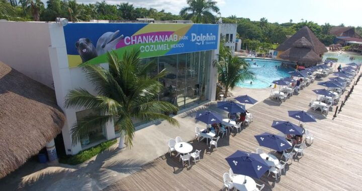 Cozumel: Chankanaab Park General Admission Entry Ticket - Key Points