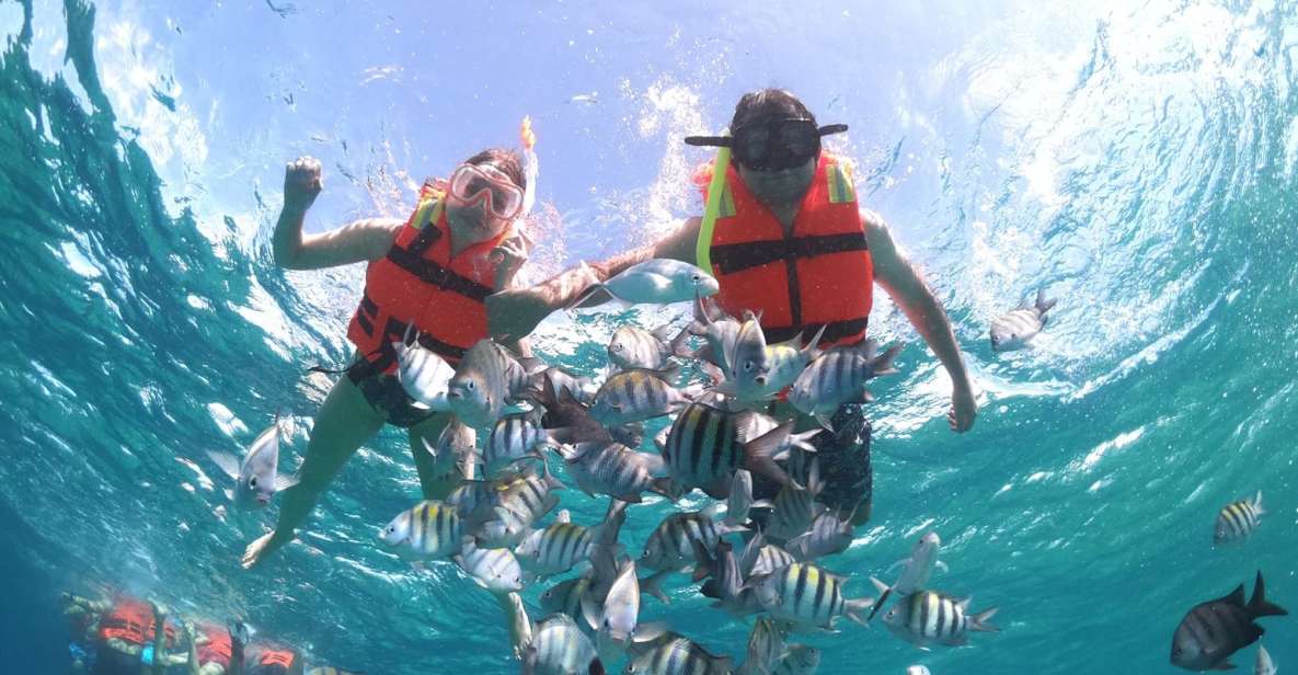 Cozumel: Clear Boat & Snorkel Tour - Key Points