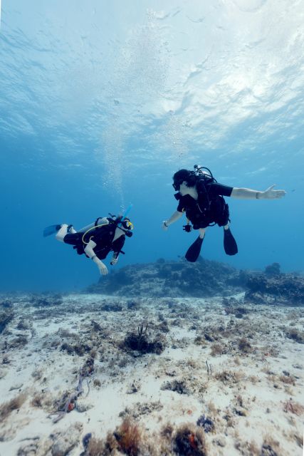 Cozumel: Discover Scuba Diving - Key Points