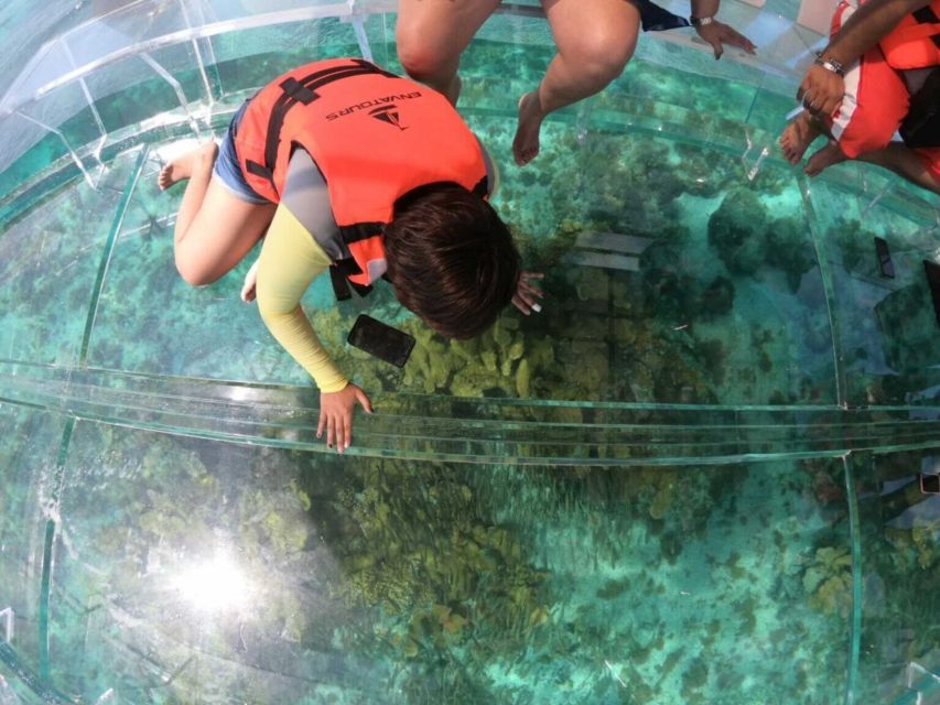 Cozumel: Glass Bottom Boat Tour - Key Points