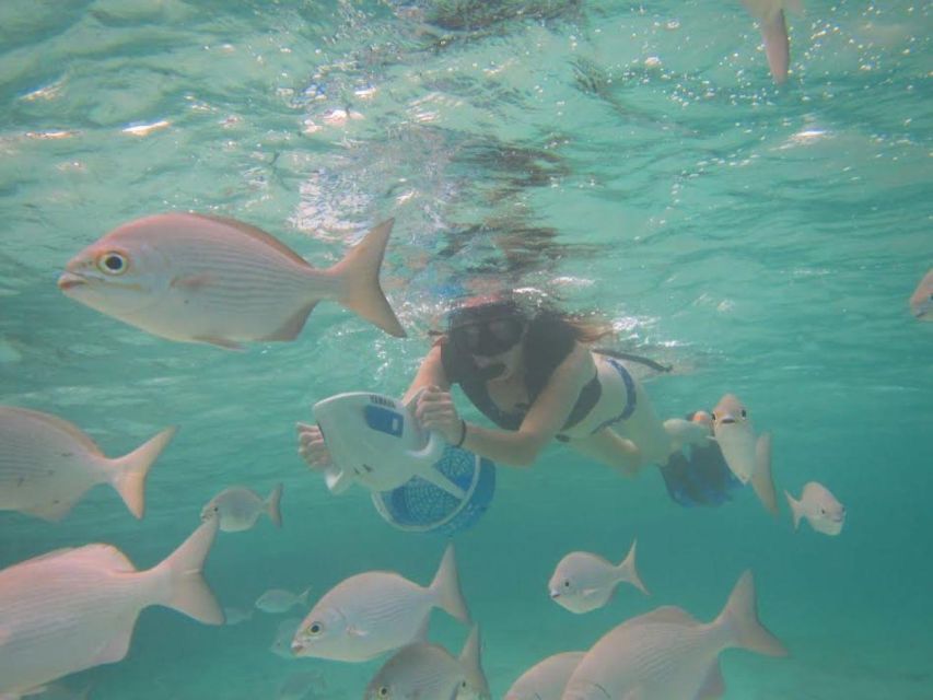 cozumel sea scooter snorkel tour Cozumel: Sea Scooter Snorkel Tour