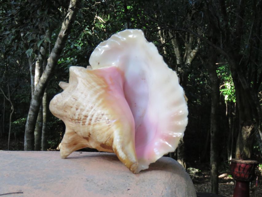 Cozumel - Temazcal / Sweat Lodge at Villa Maya. - Key Points