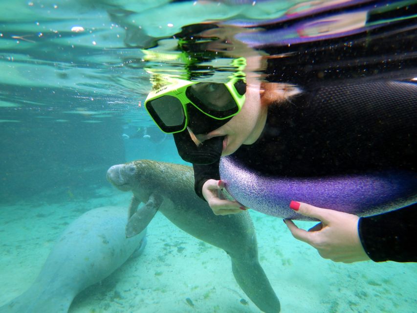 Crystal River: VIP Manatee Swim W/ In-Water Photographer - Key Points