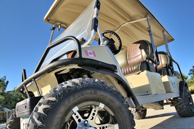 C&S 6 Seater Golf Cart Rental - Rental Pricing and Booking Details