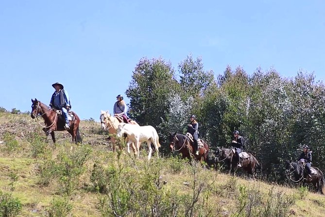 Cusco Day Tour Horse Riding Mystic Tour Full Service The Most Recommended - Tour Highlights