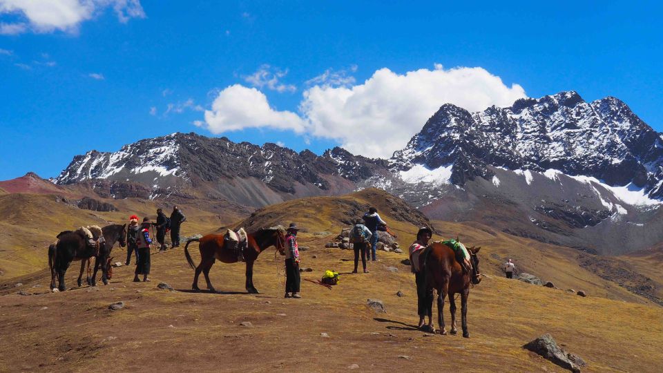 Cusco: Highlight Tour Rainbow Mountain 1 Day - Key Points