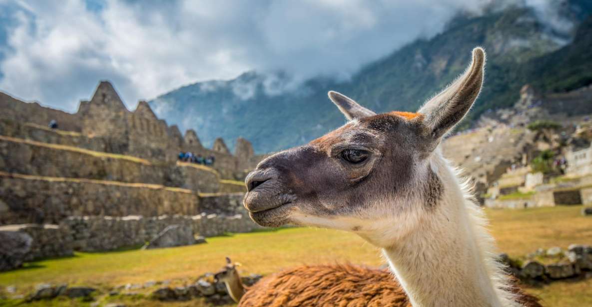 Cusco: Machu Picchu Tour With Tickets - Key Points