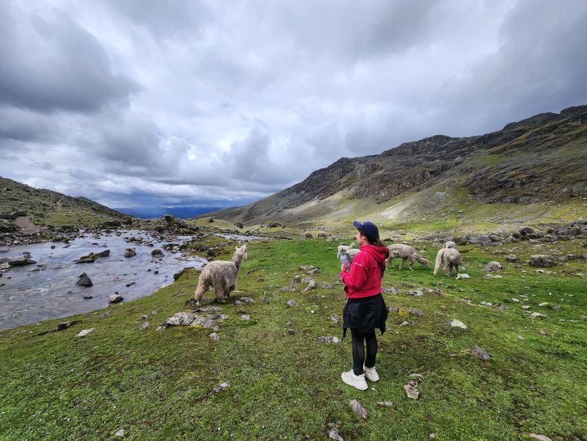 Cusco: Private Tour in One Day to the 7 Lagoons of Ausangate - Key Points