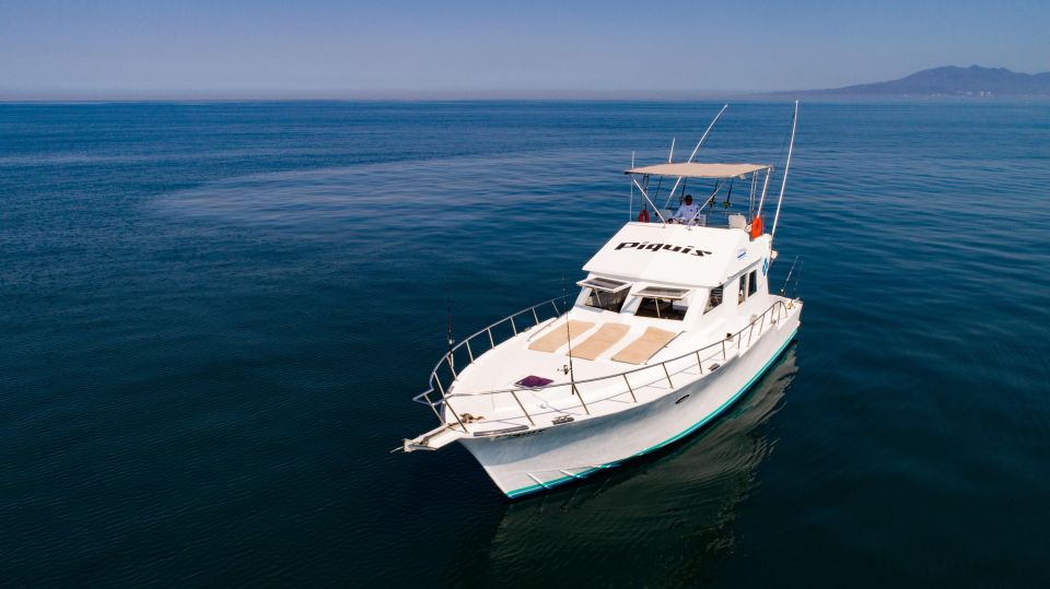 Custom 46' Boat in Puerto & Nuevo Vallarta - Key Points