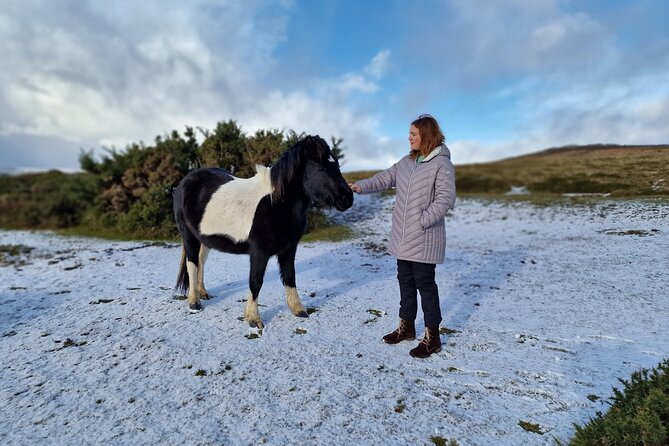 Dartmoor: Land Rover Discovery Private Driving Tour  - Devon - Key Points