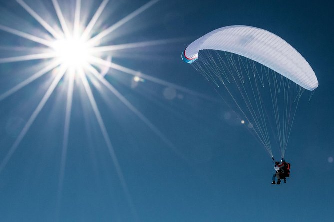 Davos Paragliding Private Tandem Pilot Half Day - Key Points