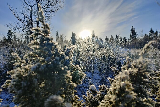 Day in the Tundra - Winter Trek & Smoke Sauna - Key Points