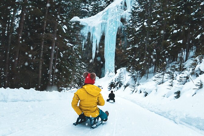 Day Sledding in Interlaken - Key Points