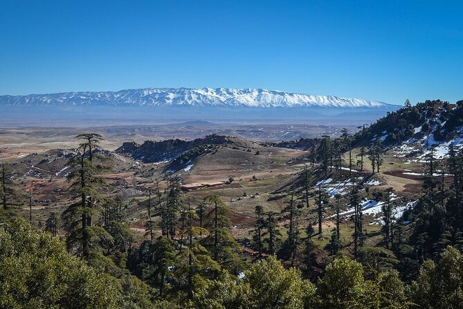 Day Tour From Fes to Middle Atlas (Imouzzer, Ifrane, and Azrou) - Key Points