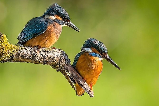 Day Tour to Anawilundawa Wetland Sanctuary - Key Points