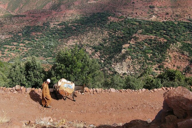 Day Trip From Marrakech to Ait Ben Haddou and Ouarzazate - Tour Overview