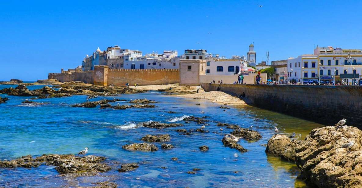 Day Trip From Marrakech to Essaouira All Included - Key Points
