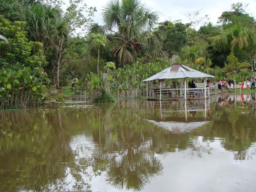 Day Trip on the Amazon River. - Key Points