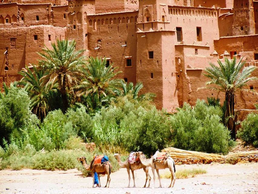 Day Trip to Ait Benhaddou and Ouarzazate - Key Points