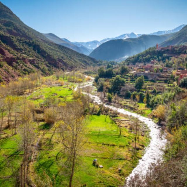 Day Trip to Ourika Valley From Marrakech With a Group - Key Points