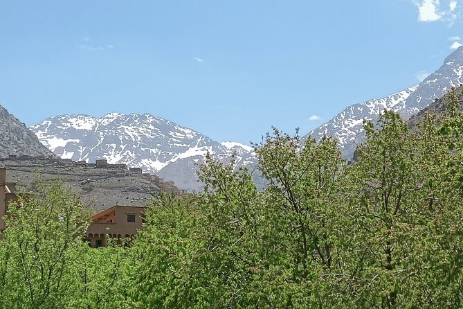 Day Trip to Ourika Valley From Marrakech - Itinerary Highlights