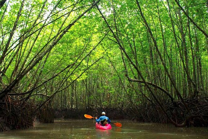 Deep Mangrove and Canyon Kayak Tour in Krabi - Key Points