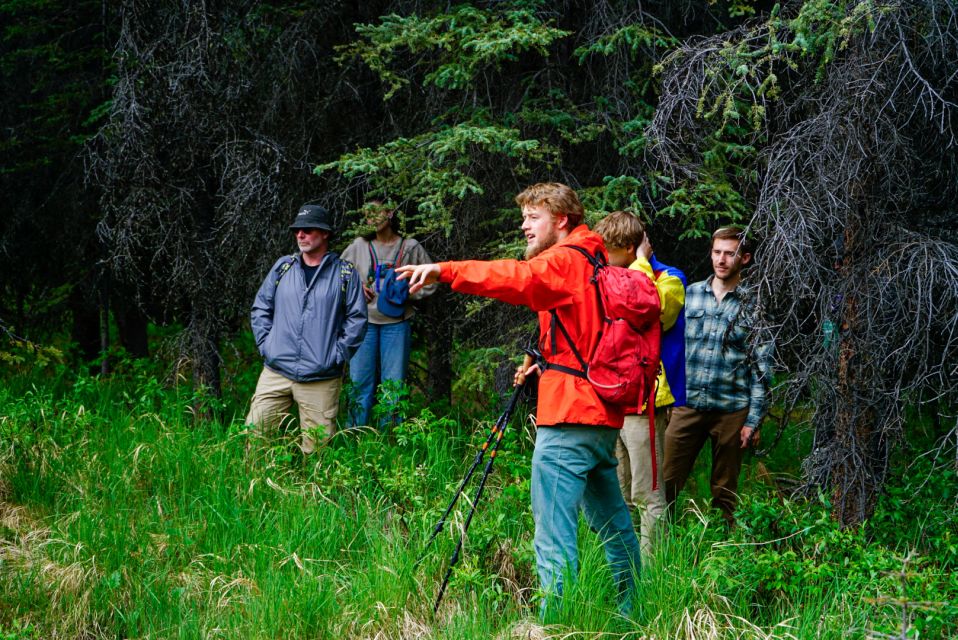Denali: Naturalist Walking Tour in Denali National Park - Key Points