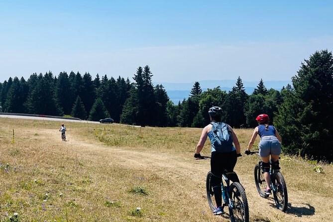 Descent of the Semnoz by Enduro Mountain Bike - Key Points