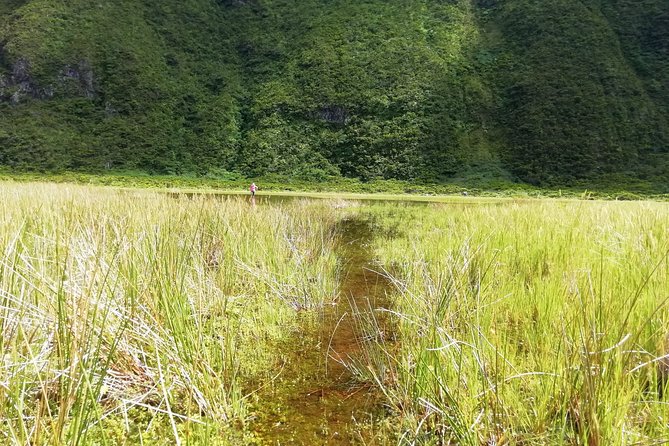 Descent to Caldeira Do Faial - the Perfect Adventure - Tour Overview