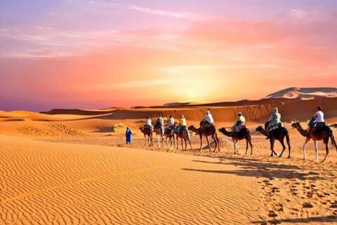 Desert Agafay & Atlas Mountains & Waterfalls, Camel Ride Day Trip From Marrakech - Cancellation and Refund Policy