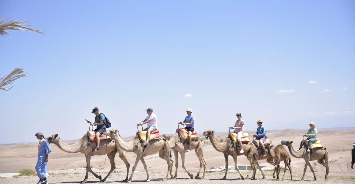 desert and mountain exploration with camel riding plus tea Desert and Mountain Exploration With Camel Riding Plus Tea
