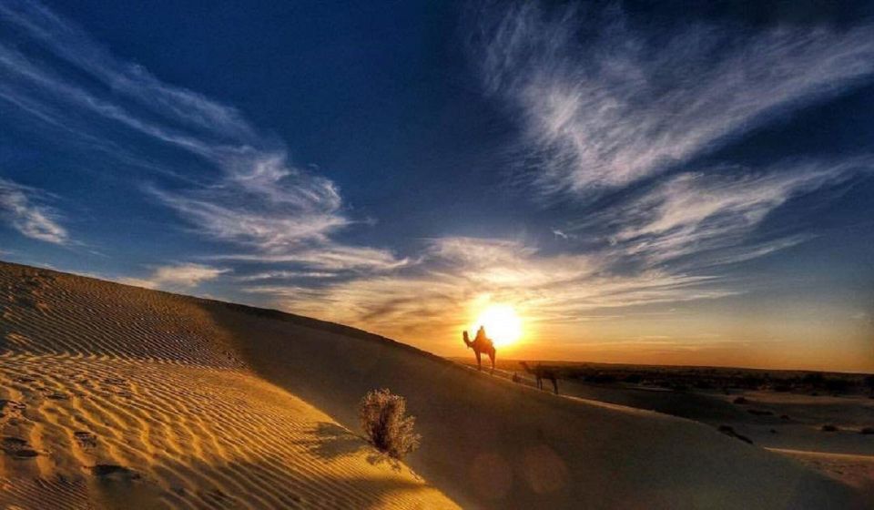 Desert Rose Jaisalmer: Non-Touristic,Billion Star Experience - Key Points