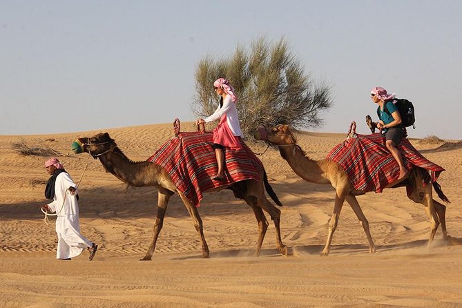 Desert Safari Tour, 6 Hour Fun, Family & Friends, Camel Ride & Dinner Included. - Key Points