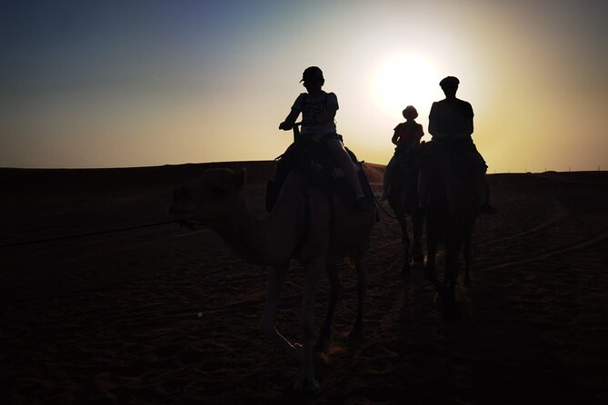 Desert Small Group Overnight Tour From Fez - Key Points