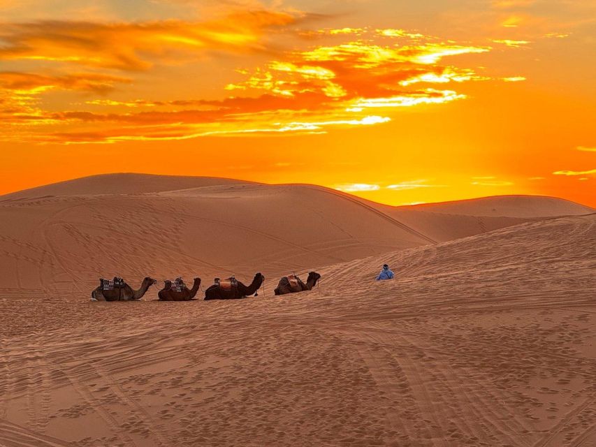 Desert Wonders: 3-Day Exploration Tour From Marrakesh to Fez - Key Points