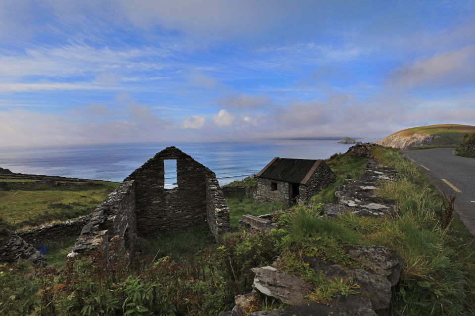 Dingle Day Tour From Limerick - Key Points