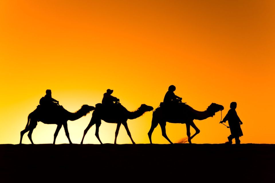 Dinner in Agafay Desert & Camel Ride - Key Points