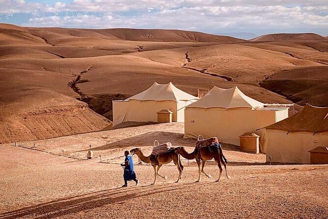 Dinner Under the Stars: Magic in the Agafay Desert - Key Points