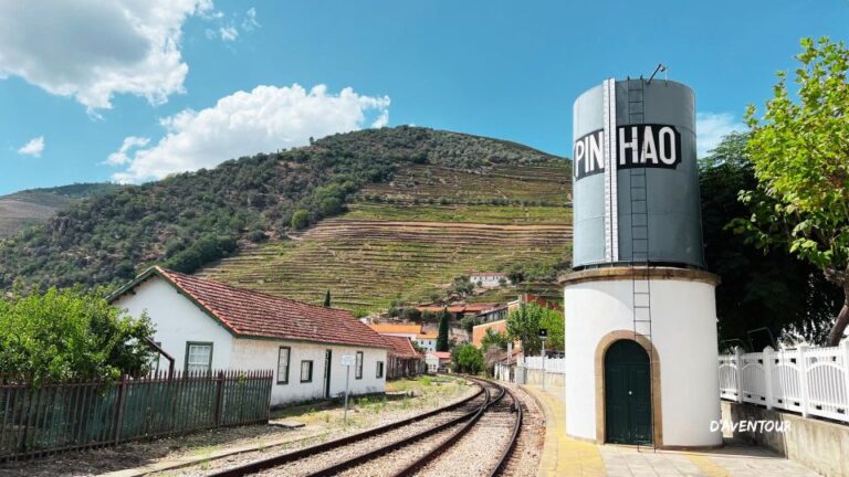 Discover Authentic Douro With D’aventour