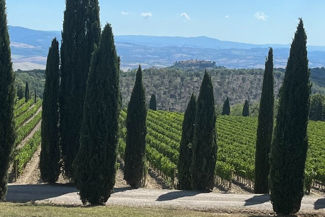 Discover Brunello Wines With Diwine Experience - Key Points