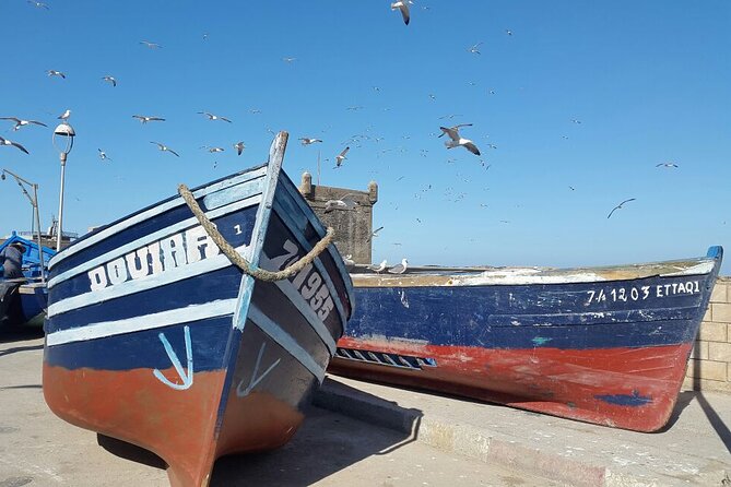 Discover Essaouira From Marrakech on a Private Day Trip