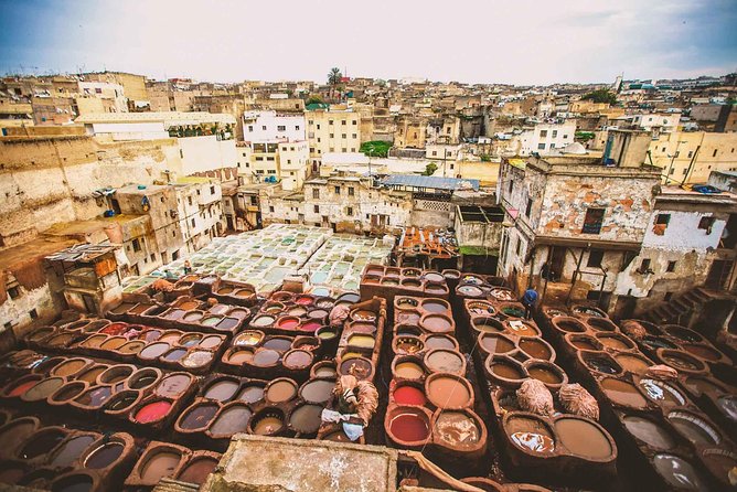 Discover Fez With a Professional Tour Guide Once in a Life Time Experience - Key Points
