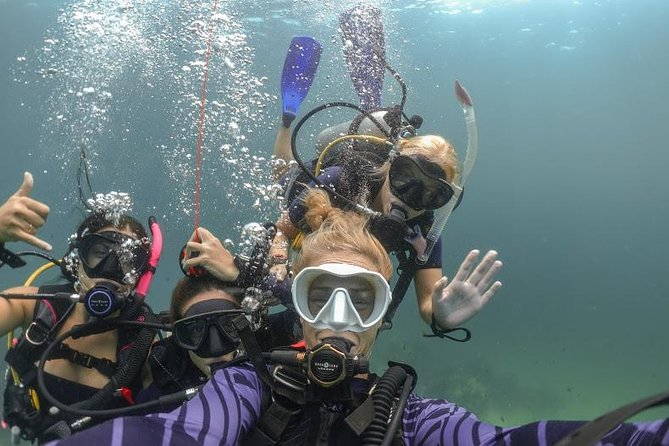 Discover Scuba Diving (Dsd) 1 Day Experience - Key Points