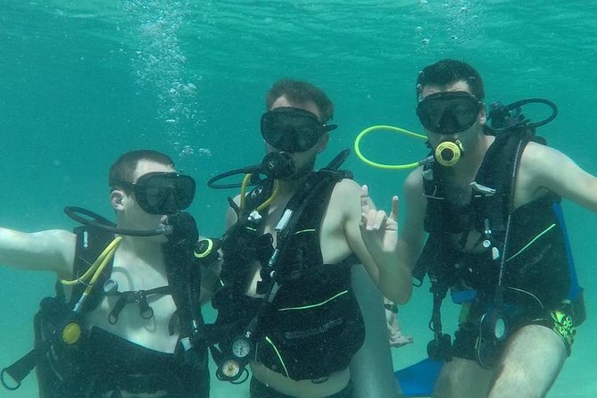 Discover Scuba Diving in Dubai - Key Points