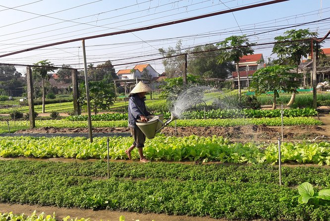 Discovering Hoi an Countryside by Bike - Overview