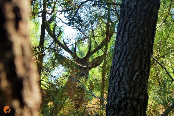 Discovering Nature in Serra Da Lousã - Tour Overview